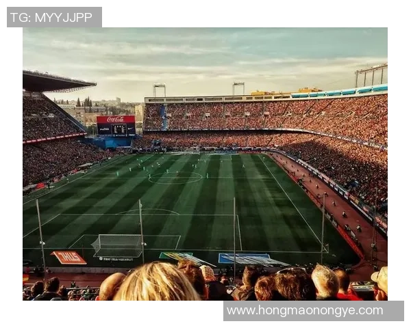 全球足球巨星璀璨群像经典时刻合集展现球场巅峰风采与传奇故事 全球足球巨星璀璨群像经典时刻合集展现球场巅峰风采与传奇故事