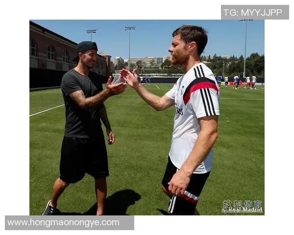 聚焦足球贝尔球星卡收藏价值与经典瞬间深度解析