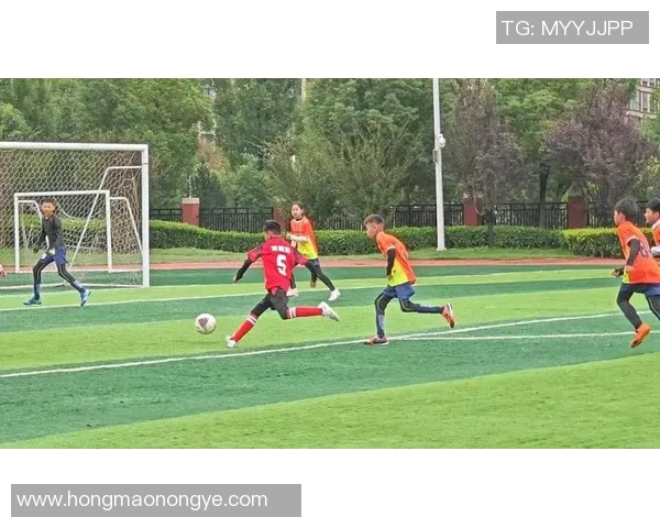 足球启蒙之星挑战赛:点燃孩子们的足球梦想与激情 足球启蒙之星挑战赛:点燃孩子们的足球梦想与激情