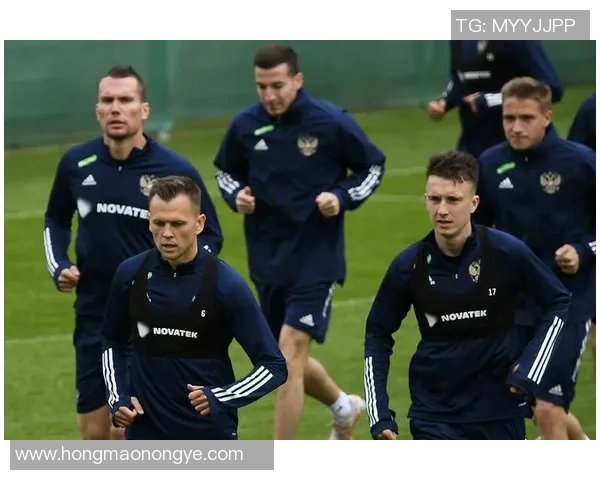 俄罗斯足球球员数量与实力分析探讨其在国际赛场的表现与影响 俄罗斯足球球员数量与实力分析探讨其在国际赛场的表现与影响