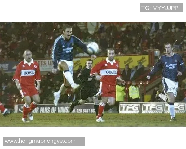 世界足球一号球星背后的传奇故事与无尽荣耀探索