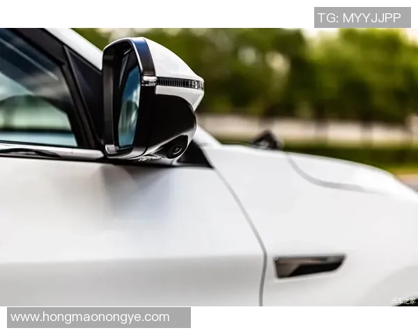 德容一天的生活:从晨跑到赛场,揭秘他如何准备每场比赛的全方位训练与休息 德容一天的生活:从晨跑到赛场,揭秘他如何准备每场比赛的全方位训练与休息