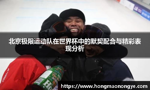 九游老哥J9俱乐部