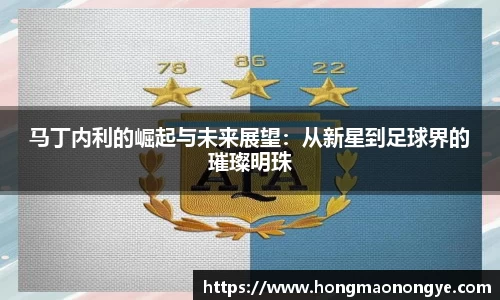 马丁内利的崛起与未来展望：从新星到足球界的璀璨明珠