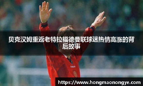 九游老哥J9俱乐部