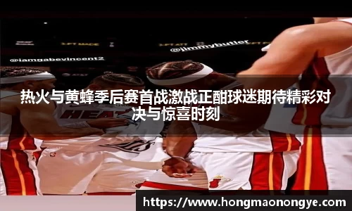 热火与黄蜂季后赛首战激战正酣球迷期待精彩对决与惊喜时刻